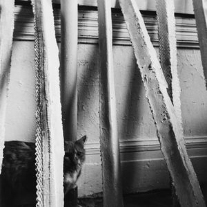 Piero Gilardi, : Wind Tables ; I corners di Alice Adams nel suo studio  - Asta Fotografia: Under 1K - Associazione Nazionale - Case d'Asta italiane