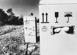 Renzo Miglio - I superstiti