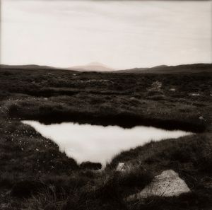 Sally Gall - Senza titolo