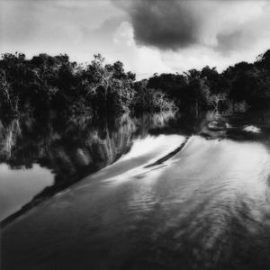 Sally Gall - Senza titolo