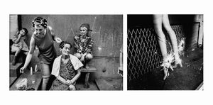 Peter Arthur Hutchinson - Sarajevo ; Cluj, Bosnia