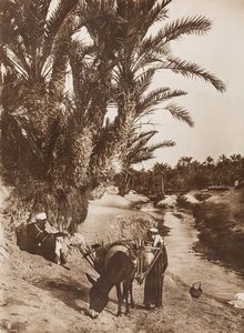 Rudolf Lehnert, - Tunis