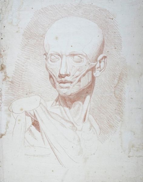 JEAN-ANTOINE HOUDON : Testa di scorticato.  - Asta Arte Antica, Moderna e Contemporanea - Associazione Nazionale - Case d'Asta italiane