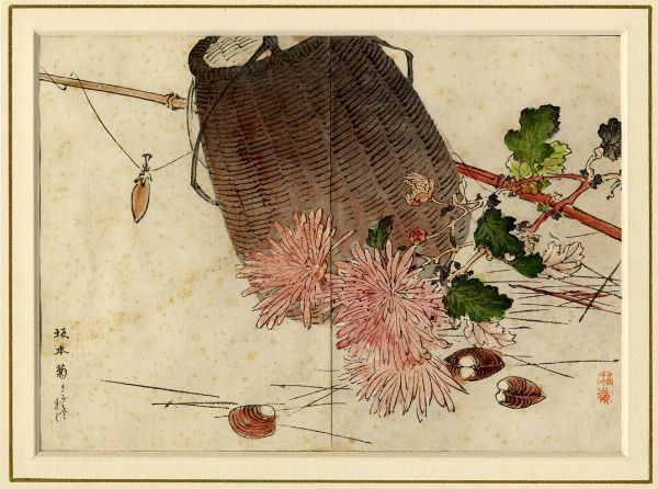 KONO BAIREI : Quattro tavole da Bairei Kiku hyakushu (Cento tipi di crisantemi di Bairei).  - Asta Arte Antica, Moderna e Contemporanea - Associazione Nazionale - Case d'Asta italiane