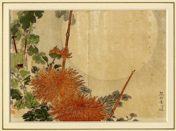 KONO BAIREI : Quattro tavole da Bairei Kiku hyakushu (Cento tipi di crisantemi di Bairei).  - Asta Arte Antica, Moderna e Contemporanea - Associazione Nazionale - Case d'Asta italiane