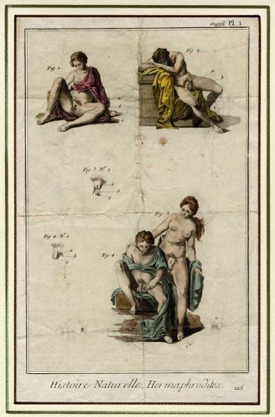 CHARLES-JOSEPH PANCKOUCKE : Hermaphrodites.  - Asta Arte Antica, Moderna e Contemporanea - Associazione Nazionale - Case d'Asta italiane