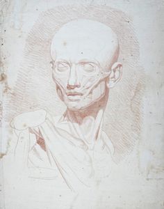 JEAN-ANTOINE HOUDON - Testa di scorticato.