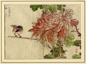 KONO BAIREI : Quattro tavole da Bairei Kiku hyakushu (Cento tipi di crisantemi di Bairei).  - Asta Arte Antica, Moderna e Contemporanea - Associazione Nazionale - Case d'Asta italiane