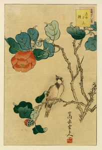 NAKAYAMA SGAKUD - Jurin tsubaki (Zigolo di canna e camelia).