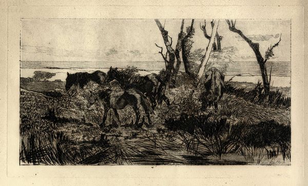 Giovanni Fattori : Pascolo di cavalli.  - Asta Arte Antica, Moderna e Contemporanea - Associazione Nazionale - Case d'Asta italiane