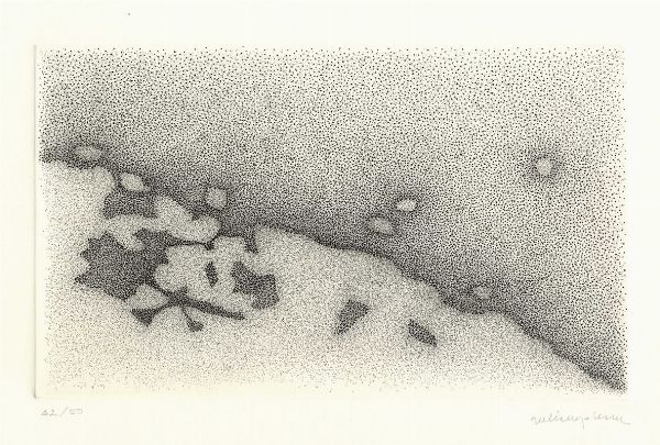 GIULIA NAPOLEONE : In apparenza d'ombra.  - Asta Arte Antica, Moderna e Contemporanea - Associazione Nazionale - Case d'Asta italiane