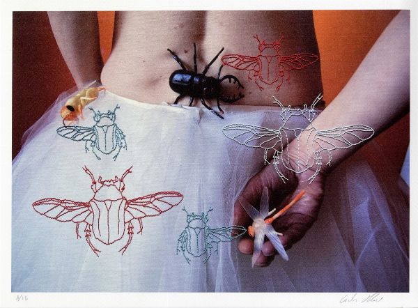 MERI CIUCHI : Senza aprire le ali.  - Asta Arte Antica, Moderna e Contemporanea - Associazione Nazionale - Case d'Asta italiane