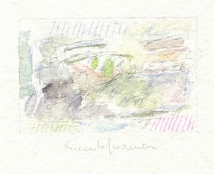 RICCARDO GUARNERI - Senza titolo.