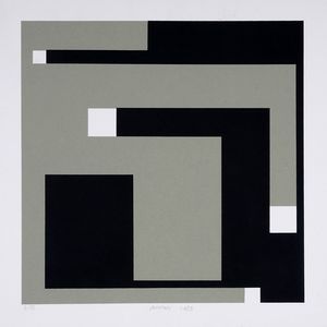 BRUNO MUNARI - Negativo-Positivo (Grigio e Nero).