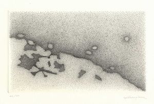 GIULIA NAPOLEONE - In apparenza d'ombra.