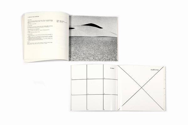 LAURA GRISI : 2 volumi contenenti appunti e fotografie per esperimenti, ess. 270/300  - Asta Grafica Internazionale e Multipli d'Autore - Associazione Nazionale - Case d'Asta italiane