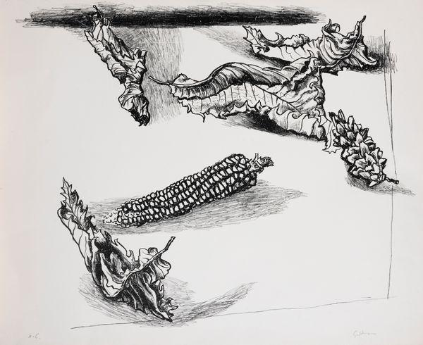Renato Guttuso : Foglie e granturco  - Asta Grafica Internazionale e Multipli d'Autore - Associazione Nazionale - Case d'Asta italiane