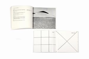 LAURA GRISI - 2 volumi contenenti appunti e fotografie per esperimenti, ess. 270/300