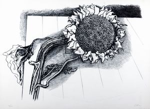 Renato Guttuso - Girasole