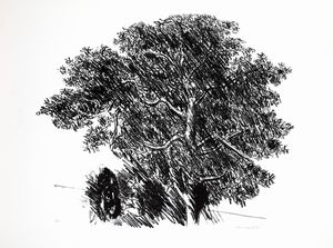 Ennio Morlotti - Albero