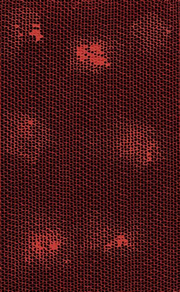 BERNARD AUBERTIN : Alveols  - Asta Arte Moderna, Contemporanea, '800 e '900 - Associazione Nazionale - Case d'Asta italiane