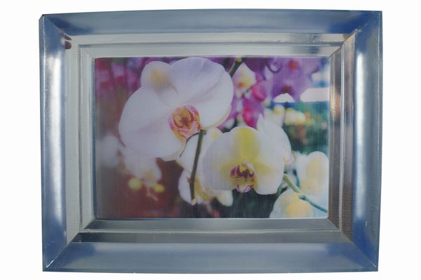 Chiara Dynys : Poisoned flowers  - Asta Arte Moderna, Contemporanea, '800 e '900 - Associazione Nazionale - Case d'Asta italiane