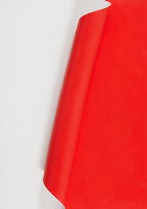 Antonio Baccarin - Senza titolo