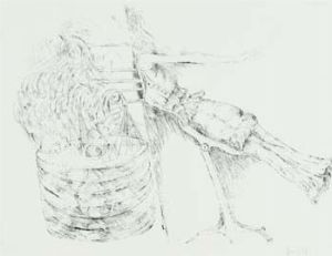 Novello Finotti - Senza titolo