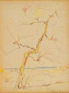 Ghigo Tommasi - Vecchia Tamerici