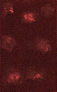 BERNARD AUBERTIN - Alveols