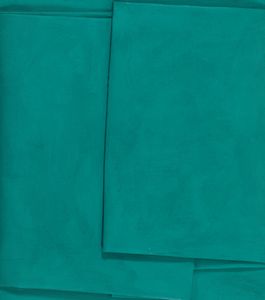 CESARE BERLINGERI - Verde piegato