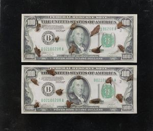 Peter Hide - Money vs Nature