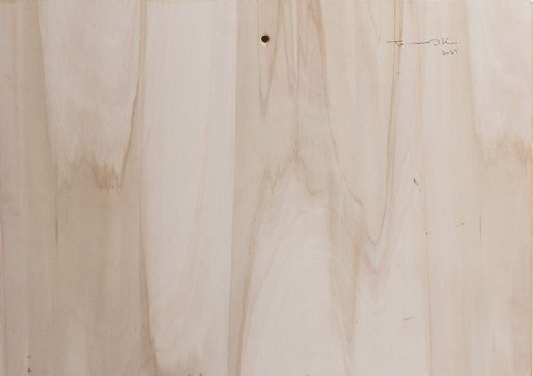 Tommaso Ottieri : Nard  - Asta Residenze d'Artista - Associazione Nazionale - Case d'Asta italiane