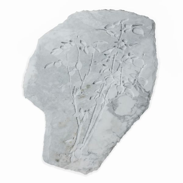 Mattia Savini : Ritratto di Rosa 1  - Asta Residenze d'Artista - Associazione Nazionale - Case d'Asta italiane