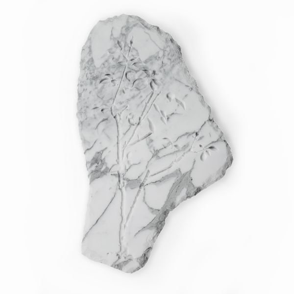 Mattia Savini : Ritratto di Rosa 2  - Asta Residenze d'Artista - Associazione Nazionale - Case d'Asta italiane