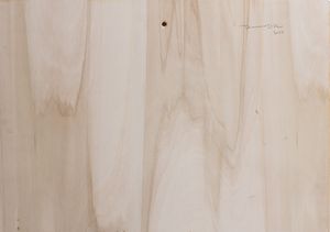 Tommaso Ottieri : Nard  - Asta Residenze d'Artista - Associazione Nazionale - Case d'Asta italiane