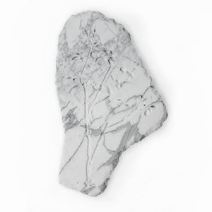 Mattia Savini - Ritratto di Rosa 2