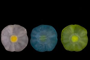 Daum, Francia, XX Secolo  - Asta Arti Decorative del XX secolo - Associazione Nazionale - Case d'Asta italiane