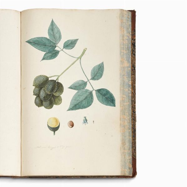 Carlo Ludovico Bellardi  - Asta STAMPE E DISEGNI DAL XV AL XIX SECOLO - Associazione Nazionale - Case d'Asta italiane