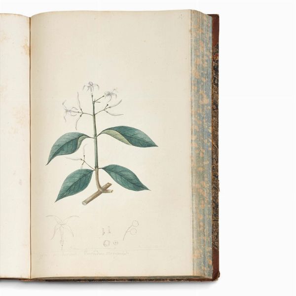 Carlo Ludovico Bellardi  - Asta STAMPE E DISEGNI DAL XV AL XIX SECOLO - Associazione Nazionale - Case d'Asta italiane