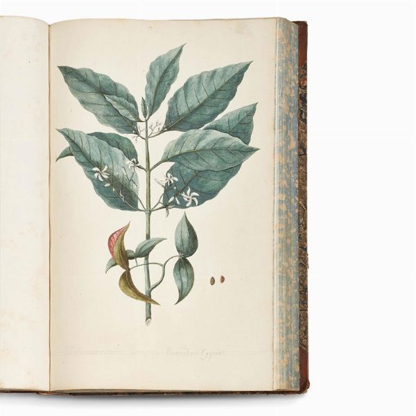 Carlo Ludovico Bellardi  - Asta STAMPE E DISEGNI DAL XV AL XIX SECOLO - Associazione Nazionale - Case d'Asta italiane