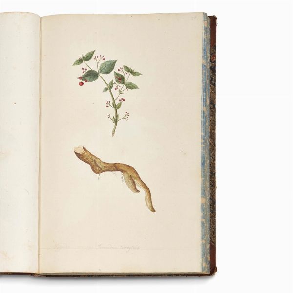 Carlo Ludovico Bellardi  - Asta STAMPE E DISEGNI DAL XV AL XIX SECOLO - Associazione Nazionale - Case d'Asta italiane