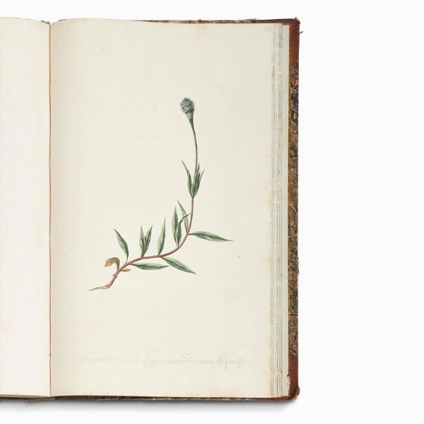 Carlo Ludovico Bellardi  - Asta STAMPE E DISEGNI DAL XV AL XIX SECOLO - Associazione Nazionale - Case d'Asta italiane