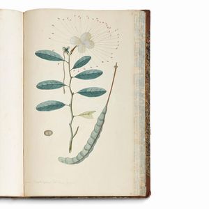 Carlo Ludovico Bellardi  - Asta STAMPE E DISEGNI DAL XV AL XIX SECOLO - Associazione Nazionale - Case d'Asta italiane