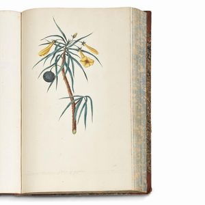 Carlo Ludovico Bellardi  - Asta STAMPE E DISEGNI DAL XV AL XIX SECOLO - Associazione Nazionale - Case d'Asta italiane