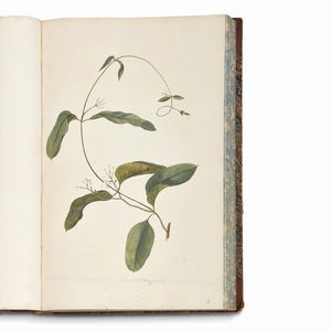 Carlo Ludovico Bellardi  - Asta STAMPE E DISEGNI DAL XV AL XIX SECOLO - Associazione Nazionale - Case d'Asta italiane