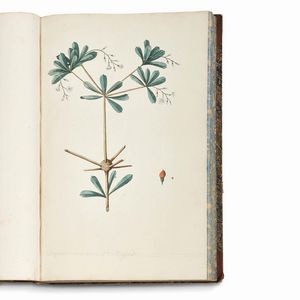 Carlo Ludovico Bellardi  - Asta STAMPE E DISEGNI DAL XV AL XIX SECOLO - Associazione Nazionale - Case d'Asta italiane