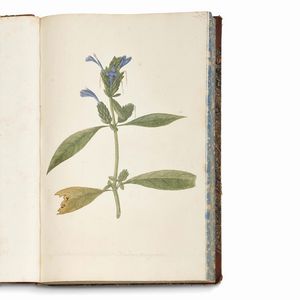 Carlo Ludovico Bellardi  - Asta STAMPE E DISEGNI DAL XV AL XIX SECOLO - Associazione Nazionale - Case d'Asta italiane