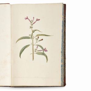 Carlo Ludovico Bellardi  - Asta STAMPE E DISEGNI DAL XV AL XIX SECOLO - Associazione Nazionale - Case d'Asta italiane