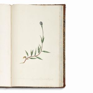 Carlo Ludovico Bellardi  - Asta STAMPE E DISEGNI DAL XV AL XIX SECOLO - Associazione Nazionale - Case d'Asta italiane